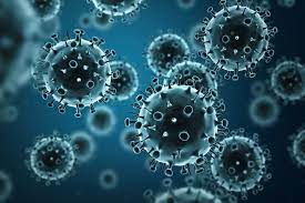Photo of فيروس الهربس البسيط  (Herpes simplex virus)…وأهم طريقتان لعلاجه