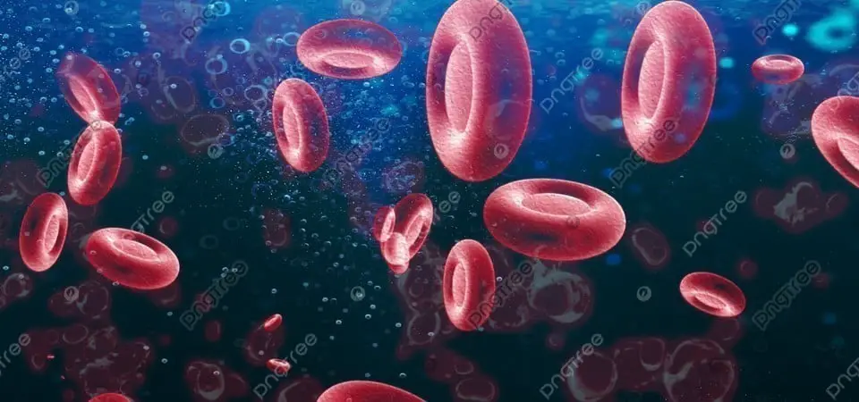اختبار معدل ترسيب كريات الدم الحمراء