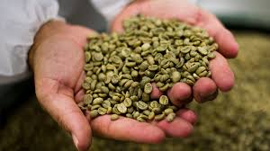 Photo of القهوة الخضراء…أهم الفوائد والأضرار